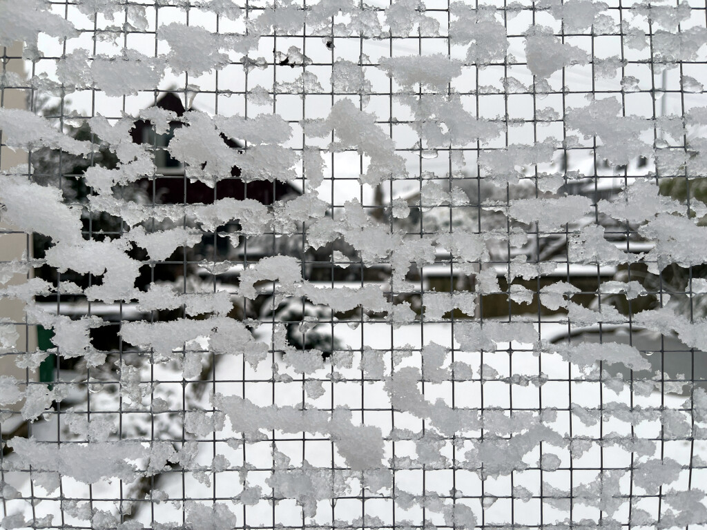 Snow on Chicken Wire 2